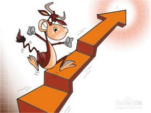 中科三環(huán) 聚焦計算機(jī)軟硬件技術(shù)開發(fā)的高科技企業(yè)